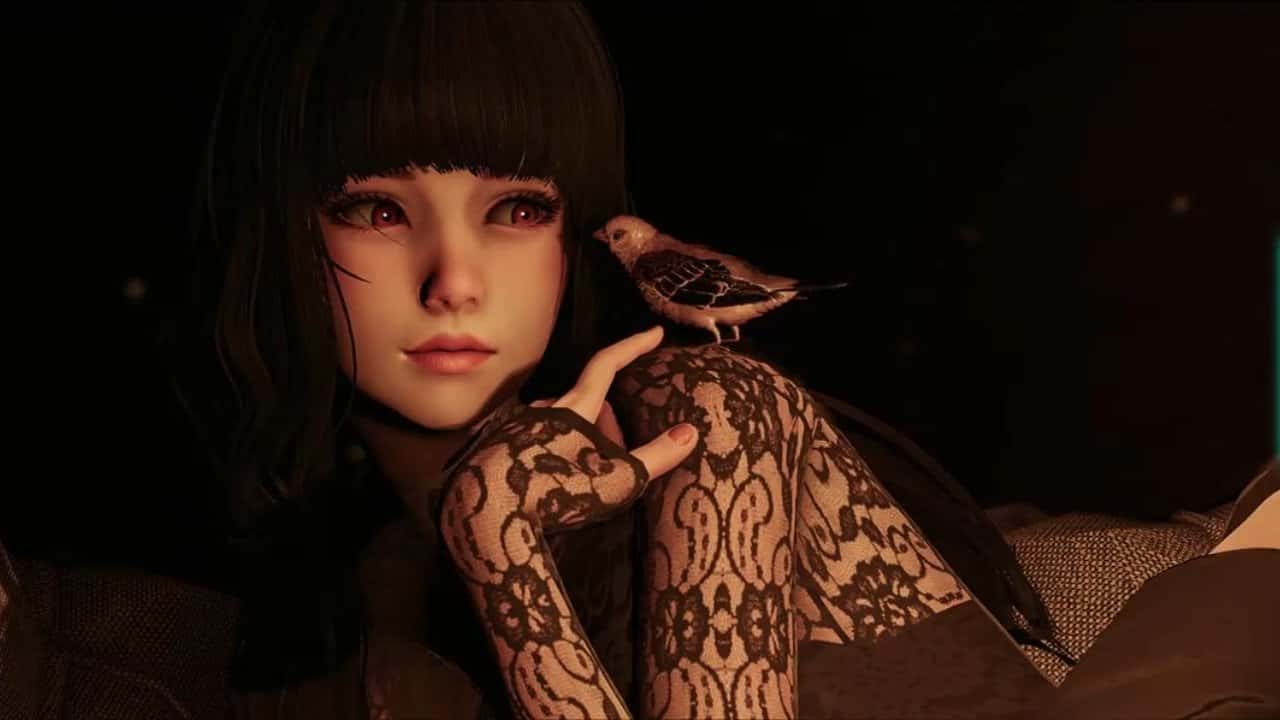 视觉数据6
